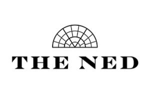 the ned logo